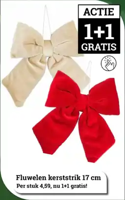 Tuincentrum Osdorp Fluwelen kerststrik aanbieding