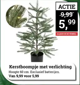 Tuincentrum Osdorp Kerstboompje met verlichting aanbieding