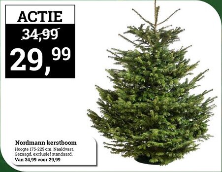 Tuincentrum Osdorp Nordmann kerstboom aanbieding
