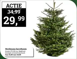 Tuincentrum Osdorp Nordmann kerstboom aanbieding