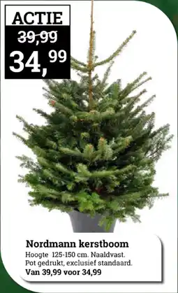 Tuincentrum Osdorp Nordmann kerstboom aanbieding