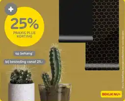 Praxis Behang aanbieding