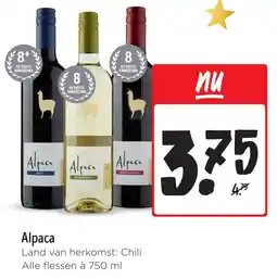 Jumbo Alpaca aanbieding