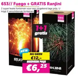 Meester Vuurwerk 653// Fuego + GRATIS Ranjini aanbieding