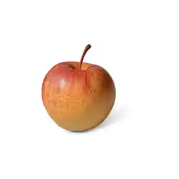 Dirk Hollandse Goudreinet aanbieding