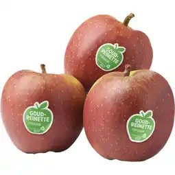 Albert Heijn AH Goudreinette aanbieding