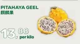 Amazing Oriëntal PITAHAYA GEEL aanbieding
