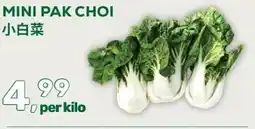 Amazing Oriëntal MINI PAK CHOI aanbieding