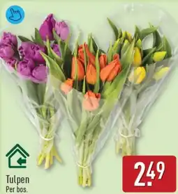 ALDI Tulpen aanbieding