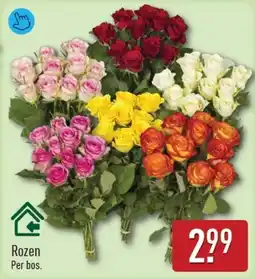 ALDI Rozen aanbieding