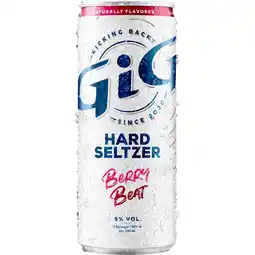 Dekamarkt GiG Hard seltzer berry beat aanbieding