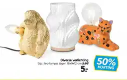 Xenos Diverse verlichting aanbieding