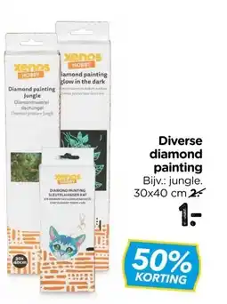 Xenos Diverse diamond painting aanbieding