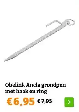 Obelink Obelink Ancla grondpen met haak en ring aanbieding