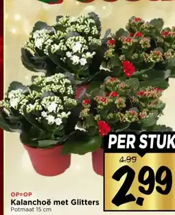 Vomar Voordeelmarkt Kalanchoë met Glitters aanbieding