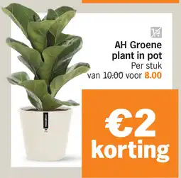 Albert Heijn AH Groene plant in pot aanbieding