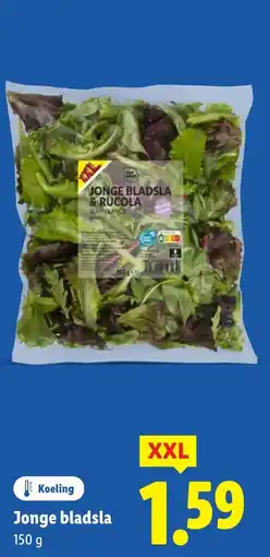 Lidl Jonge bladsla aanbieding