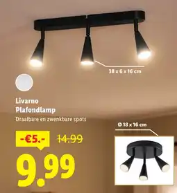 Lidl Livarno Plafondlamp aanbieding