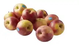 PLUS PLUS Appels Morgana los aanbieding