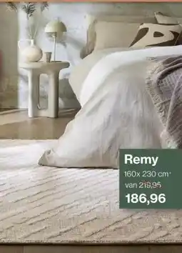 Roobol Remy aanbieding