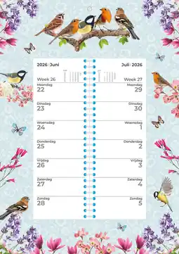 Intratuin Plenty Gifts kalender birds original 2026 34 x 34 cm aanbieding