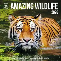 Intratuin Plenty Gifts kalender amazing wildlife 2026 30 x 30 cm aanbieding