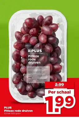 PLUS PLUS Pitloze rode druiven aanbieding