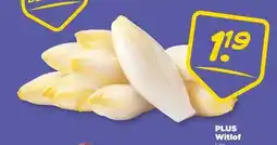 PLUS PLUS Witlof aanbieding