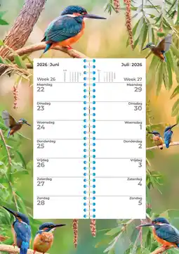 Intratuin Plenty Gifts kalender kingfisher 2026 34 x 34 cm aanbieding