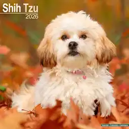 Intratuin Plenty Gifts kalender shih tzu 2026 30 x 30 cm aanbieding