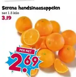 Boon`s Markt Serena handsinaasappelennet aanbieding