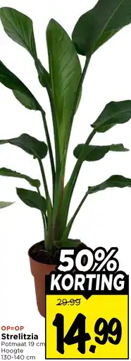 Vomar Voordeelmarkt Strelitzia aanbieding