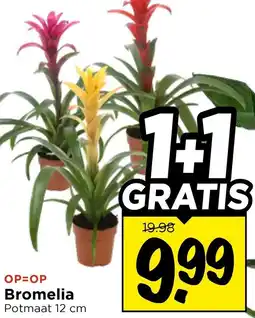 Vomar Voordeelmarkt Bromelia aanbieding