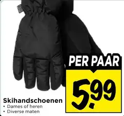 Vomar Voordeelmarkt Skihandschoenen aanbieding