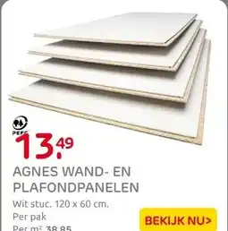Praxis Agnes wand-en plafondplaat T&G 4-z wit aanbieding