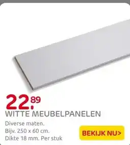 Praxis Meubelpaneel - wit - 250x60cm - 18mm aanbieding
