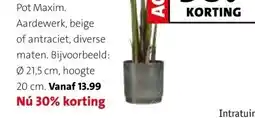 Intratuin Pot Maxim aanbieding