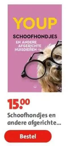 Bruna Schoofhondjes en andere afgerichte huisdieren aanbieding