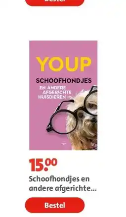 Bruna Schoofhondjes en andere afgerichte huisdieren aanbieding