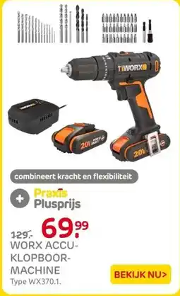 Praxis Worx Klopboormachine WX370.1 - 20V - (2x aanbieding
