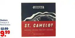 Makro Oesters aanbieding