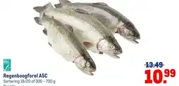 Makro Regenboogforel ASC aanbieding