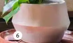 Intratuin Pot Fara aanbieding