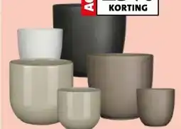 Intratuin Everydays binnenpotten aanbieding