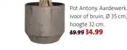 Intratuin Pot Antony aanbieding
