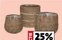Intratuin Earthenware and basketwork aanbieding