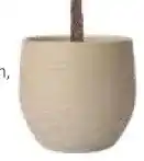 Intratuin Pot Xanna aanbieding