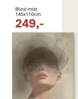 INHOUSE Blind mist aanbieding