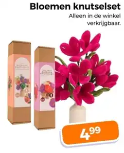 Trekpleister Bloemen knutselset aanbieding