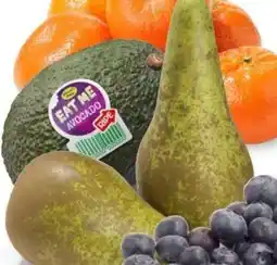 Hoogvliet Of conference peren aanbieding